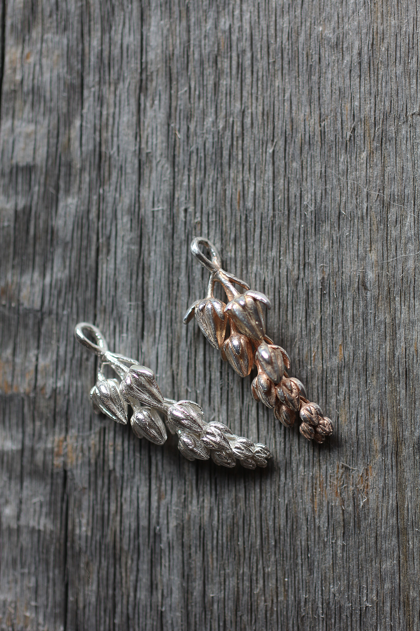 エケベリア花のチャーム