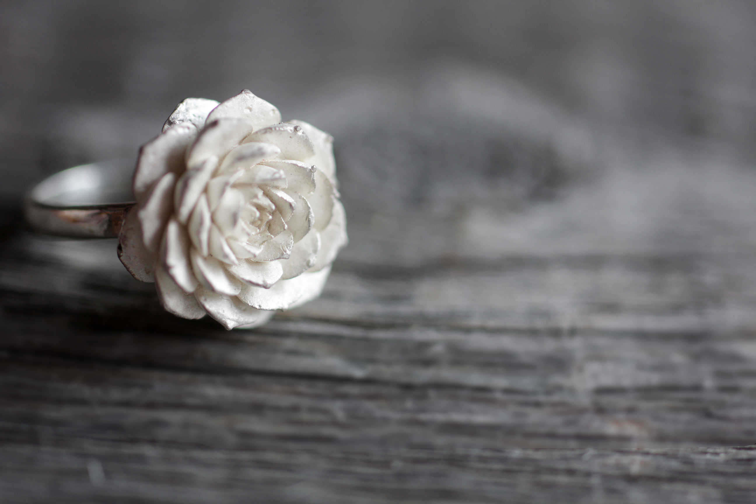 センペルビウムリング